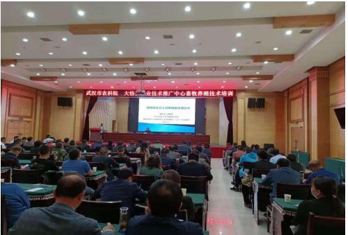 大悟縣農業技術推廣中心聯合武漢市農科院開展科技服務活動