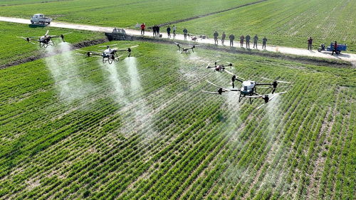 上海戰(zhàn)略所 國(guó)際農(nóng)業(yè)科技創(chuàng)新加速,中國(guó)大都市如何作為