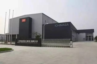 驚 常州培育出日本 宮廷國(guó)寶 ,人稱 抗癌奇葩 居然比靈芝還要珍貴