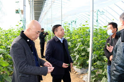 陳遠明深入非公有制企業走訪調研