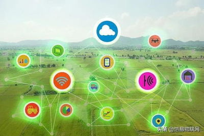 智慧鄉(xiāng)村對(duì)農(nóng)業(yè)現(xiàn)代化進(jìn)程的推動(dòng),智慧鄉(xiāng)村:引領(lǐng)農(nóng)業(yè)現(xiàn)代化新時(shí)代。