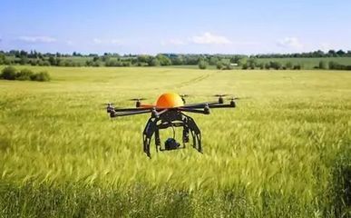 你的農(nóng)產(chǎn)品與成功的距離只差了一個(gè)品牌!