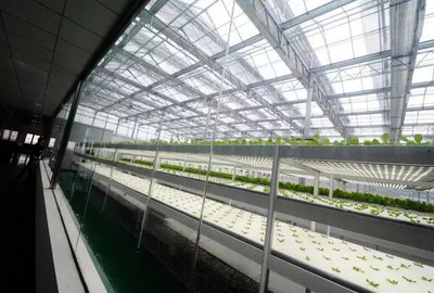 絕了!原來這就是未來顛覆農業(yè)的六大高科技