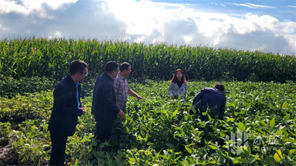 &ldquo;把脈開方&rdquo;促生產|市科協(xié)專家深入田間開展種植科技志愿服務