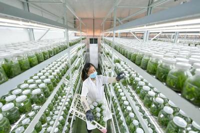 代表委員熱議科技創(chuàng)新:以高水平科技自立自強賦能農業(yè)農村高質量發(fā)展