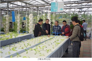 江門市農(nóng)業(yè)科技創(chuàng)新中心組團(tuán)赴省農(nóng)業(yè)科學(xué)院 取經(jīng)