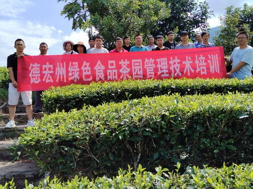 德宏州茶技站組織開展茶葉科技培訓(xùn)