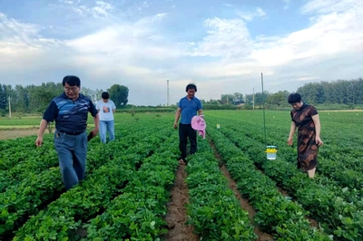 學黨史辦實事!河南桐柏縣將農業(yè)科技送到田間地頭