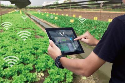 麥麥科技獲數千萬元天使輪融資 發展ToB端智慧農業科技服務平臺