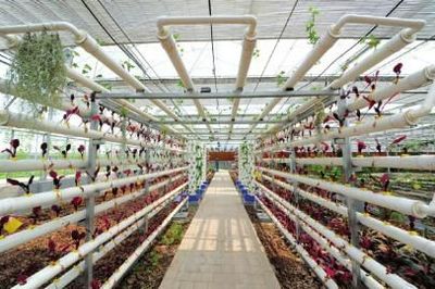 融入科技元素 資中全力推動科技創新(組圖)