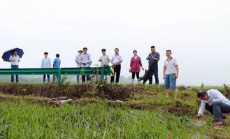 湖南省農(nóng)業(yè)科學(xué)院專家來(lái)湘潭縣開(kāi)展抗災(zāi)減損科技服務(wù)工作