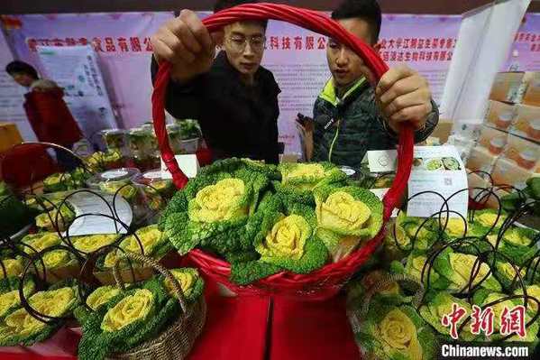 農(nóng)產(chǎn)品嘉年華 玫瑰白菜盆景蔬菜搶眼