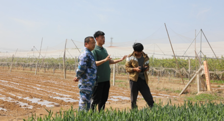 青島麗斌農業綜合農事服務中心 打通為農服務&ldquo;最后一公里&rdquo;