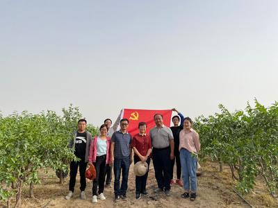 學(xué)黨史&middot;辦實事8|林果業(yè)科技服務(wù)團隊服務(wù)基層助力鄉(xiāng)村振興