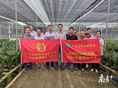 特派員下鄉,科技助農傳授惠州龍門蘭花種植技術