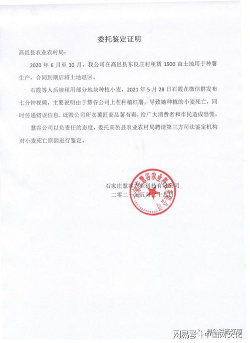 河北1500畝土地種 毒紅薯 致小麥絕收 涉事公司 嚴重不實