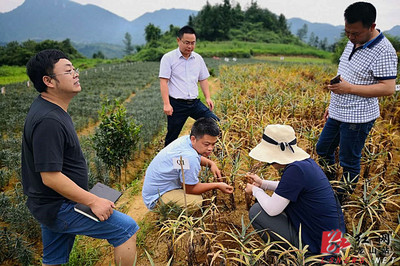 省農(nóng)科院科技專(zhuān)家服務(wù)團(tuán)深入龍山田間地頭助力產(chǎn)業(yè)發(fā)展