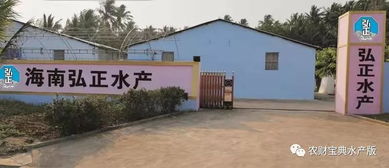 北方一代苗需求激增 行業(yè)亂象中的農(nóng)業(yè)科技服務(wù)新機(jī)遇