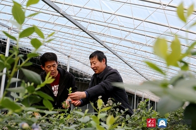 東港區(qū)科技局 紅色科技特派員成群眾致富‘鋪路人’