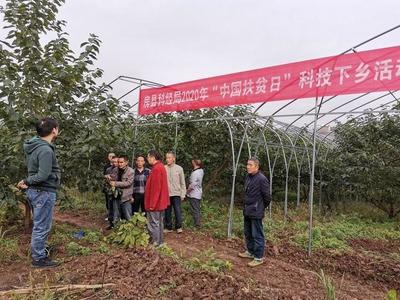 科技賦能鄉(xiāng)村振興——市科技局組織開展科技特派員下鄉(xiāng)服務(wù)活動(dòng)